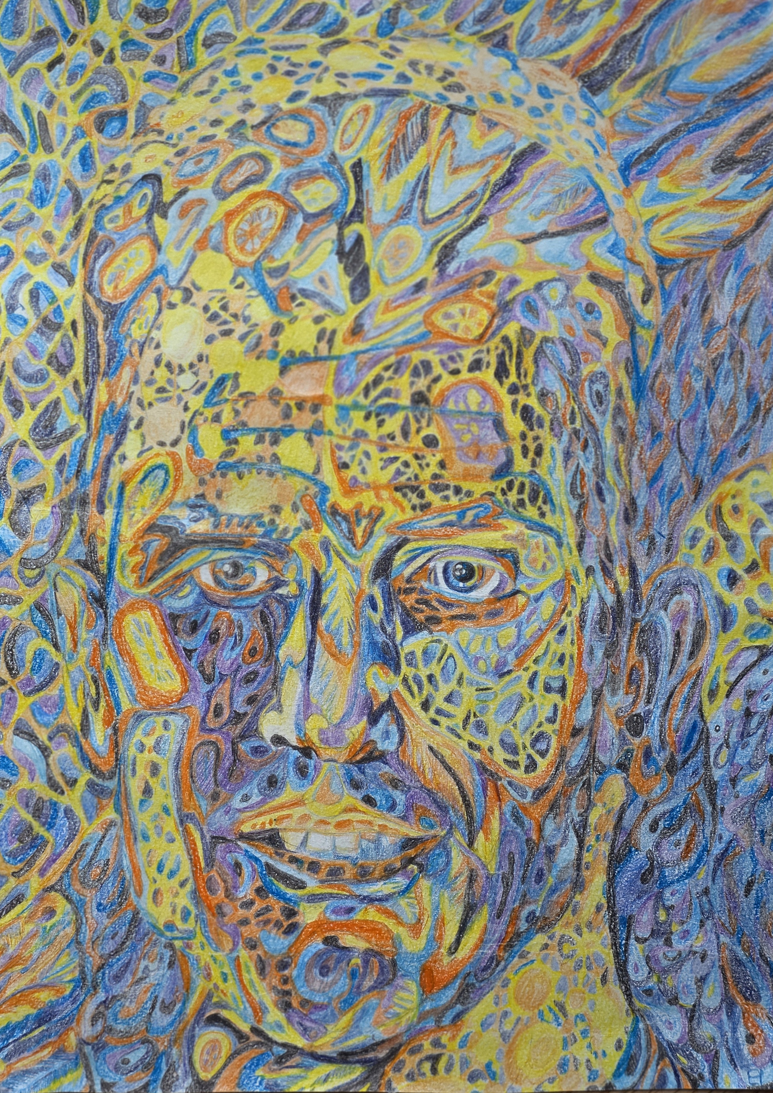Aloisielgard Troll Portrait Quantum art Alois von und zu Liechtenstein